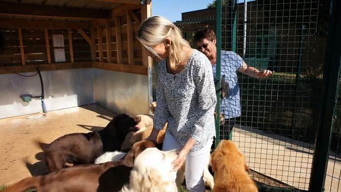 Hélène et les animaux