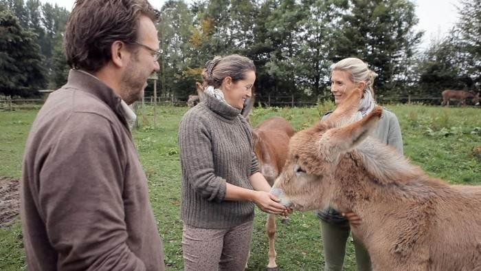 Hélène et les animaux