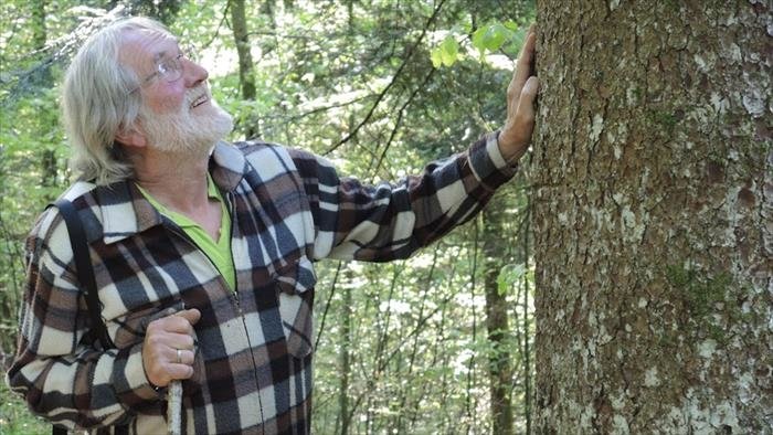 L'homme et la forêt