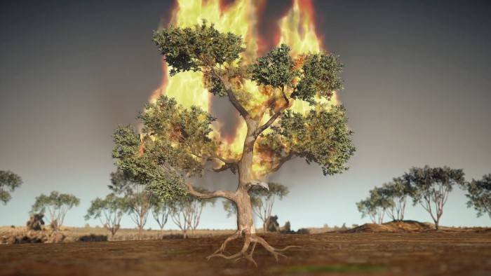 La science des forces de la nature