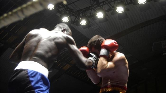 Label Boxe
