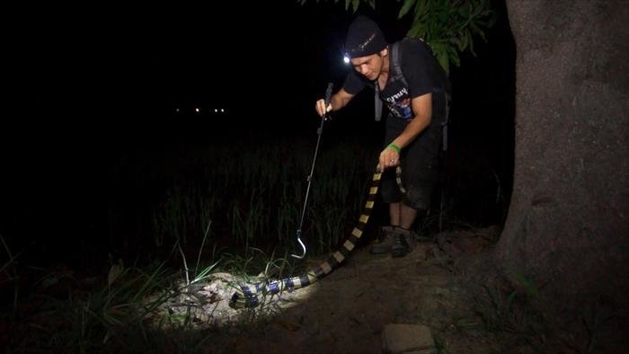 Le maître des serpents