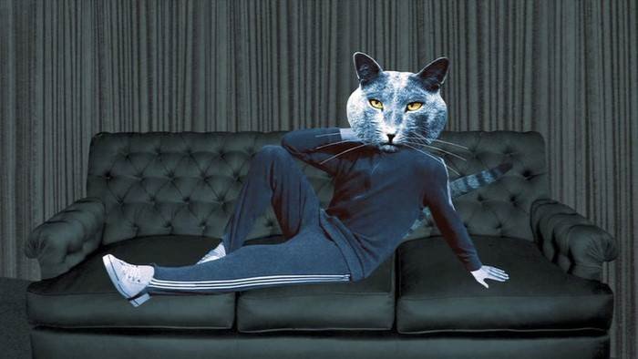 Les animaux domestiques
