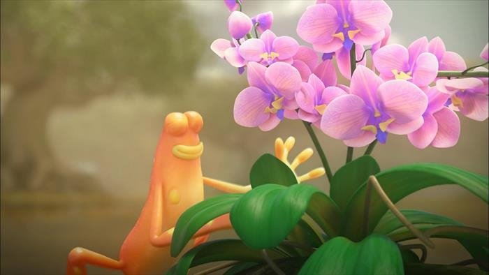 Les as de la jungle à la rescousse