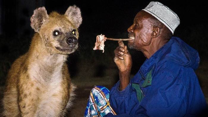 Les hyènes de Harar