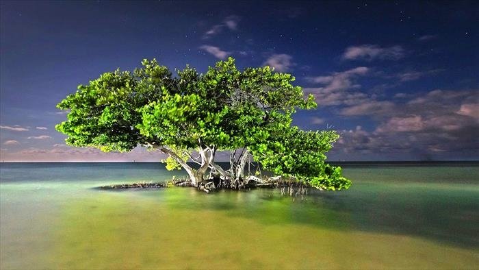 Les parcs nationaux américains