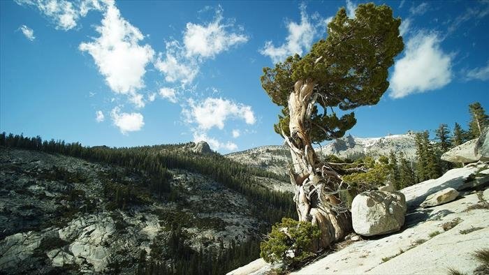 Les parcs nationaux américains