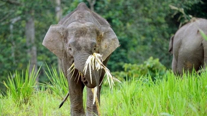 Les plus beaux parcs nationaux d'Asie
