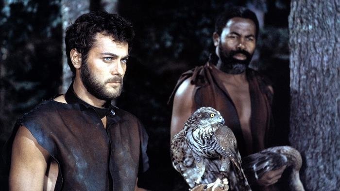 Les Vikings