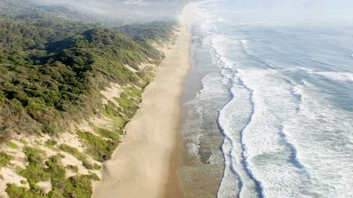 Maputaland, la côte des prédateurs