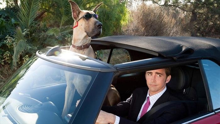 Marmaduke