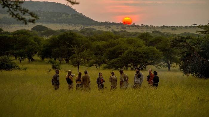 Migrations