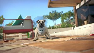 Mike, une vie de chien