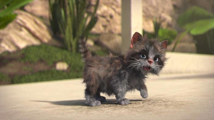 Mike, une vie de chien