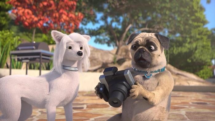 Mike, une vie de chien