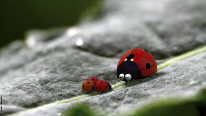 Minuscule