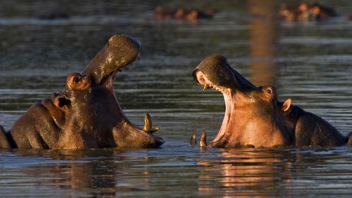 National Geographic