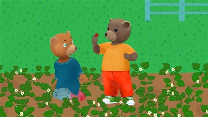 Petit Ours Brun