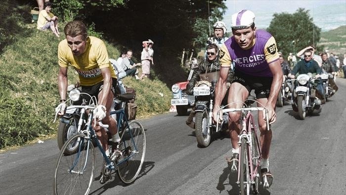 Poulidor Premier