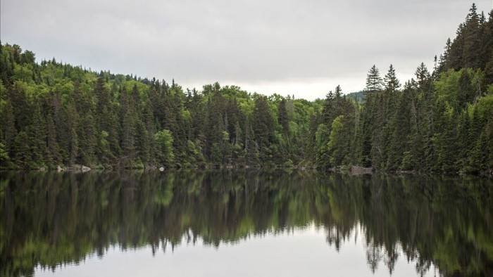 Quebec à vol d'oiseau