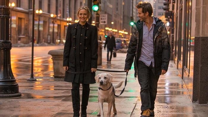 Qui garde le chien ?