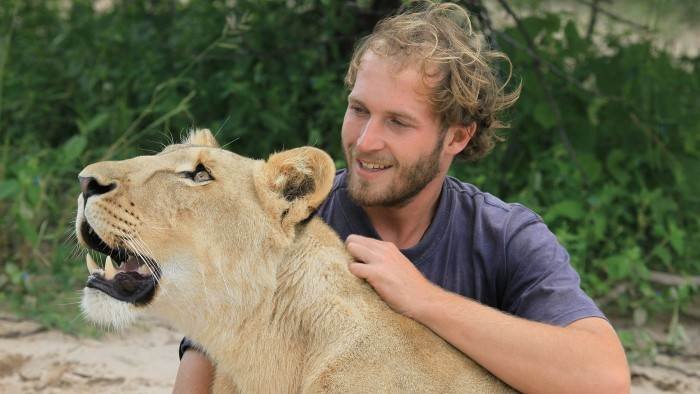 Sirga, le destin d'une lionne