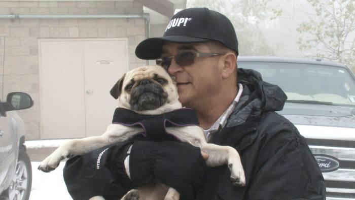 Storage Wars : enchères surprises