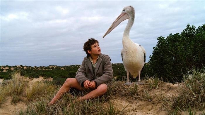 Storm Boy