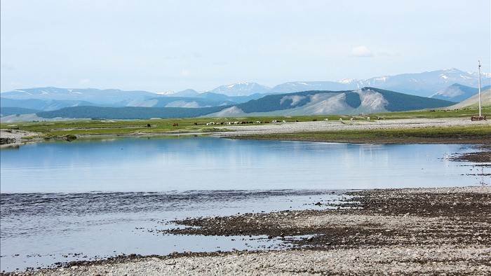 Taïmen, le saumon mythique de Mongolie