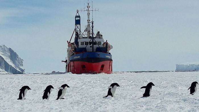 Terre Adélie, une vigie dans les glaces