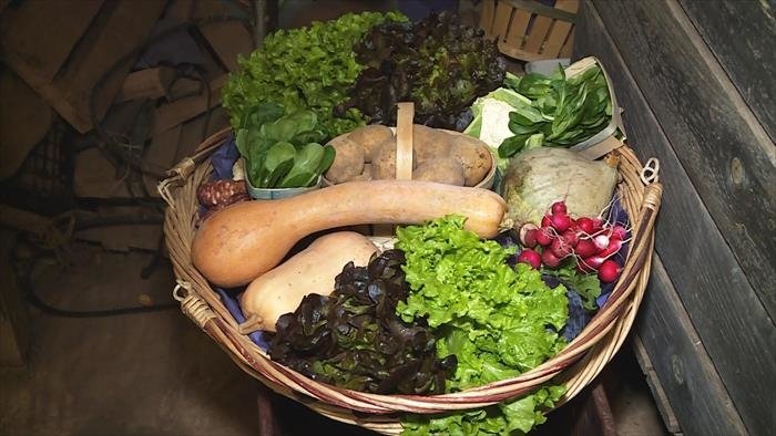 Vente directe, du champ à l'assiette