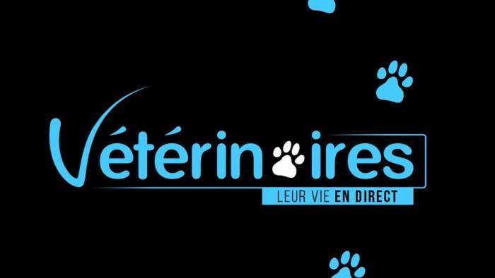 Vétérinaires, leur vie en direct