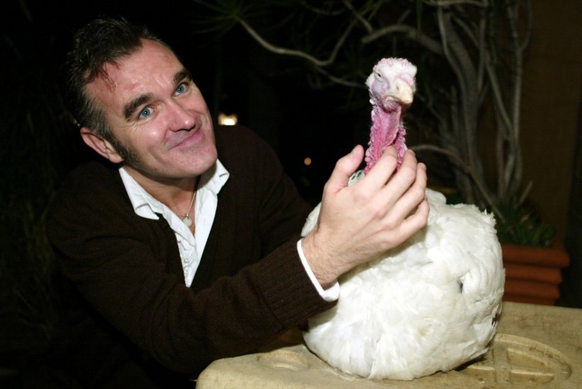Le kebab de Morrissey Le kebab de Morrissey