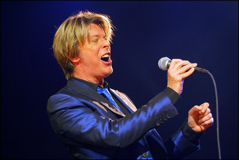 David Bowie, tout pour les dauphins David Bowie, tout pour les dauphins