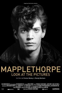 Mapplethorpe : Look at the Pictures