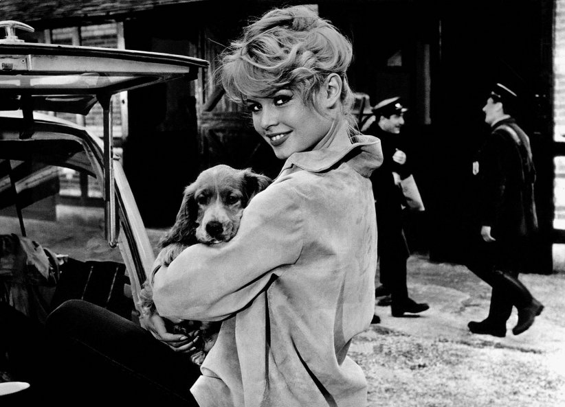 Brigitte Bardot a trouvé la célébrité "insupportable"