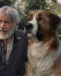 10 films où les chiens sont les vraies stars