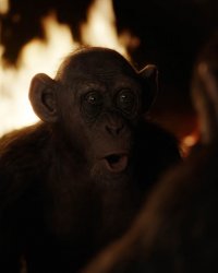 Planète des singes : Bad Ape, un (nouveau) primate tourné vers l'avenir ?