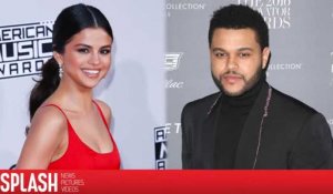 Selena Gomez s'envole pour la Colombie pour aller voir The Weeknd