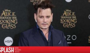 Johnny Depp décroche un rôle dans la suite des Animaux Fantastiques