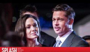 Angelina Jolie et Brad Pitt annoncent qu'ils vont garder leur procédure de divorce privée