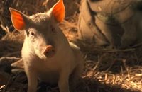 Babe, le cochon devenu berger - Bande annonce 2 - VO - (1995)