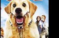 Diamond Dog : chien milliardaire - bande annonce - VO - (2008)