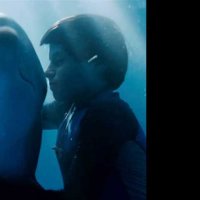 L'Incroyable histoire de Winter le dauphin - Bande annonce 1 - VF - (2011)