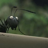 Minuscule - La vallée des fourmis perdues - Bande annonce 3 - VF - (2013)