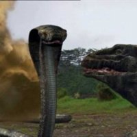 Komodo vs. Cobra - bande annonce - VO - (2005)