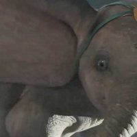 Dumbo - Extrait 1 - VO - (2019)