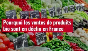 VIDÉO. Pourquoi les ventes de produits bio sont en déclin en France