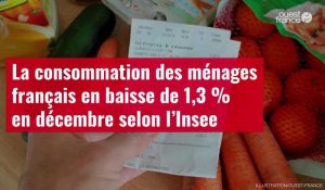 VIDÉO. La consommation des ménages français en baisse de 1,3 % en décembre selon l’Insee