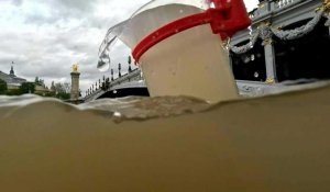 JO-2024: une ONG alerte sur l'état "alarmant" des eaux de la Seine